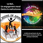 OWAP-Animal Rescues